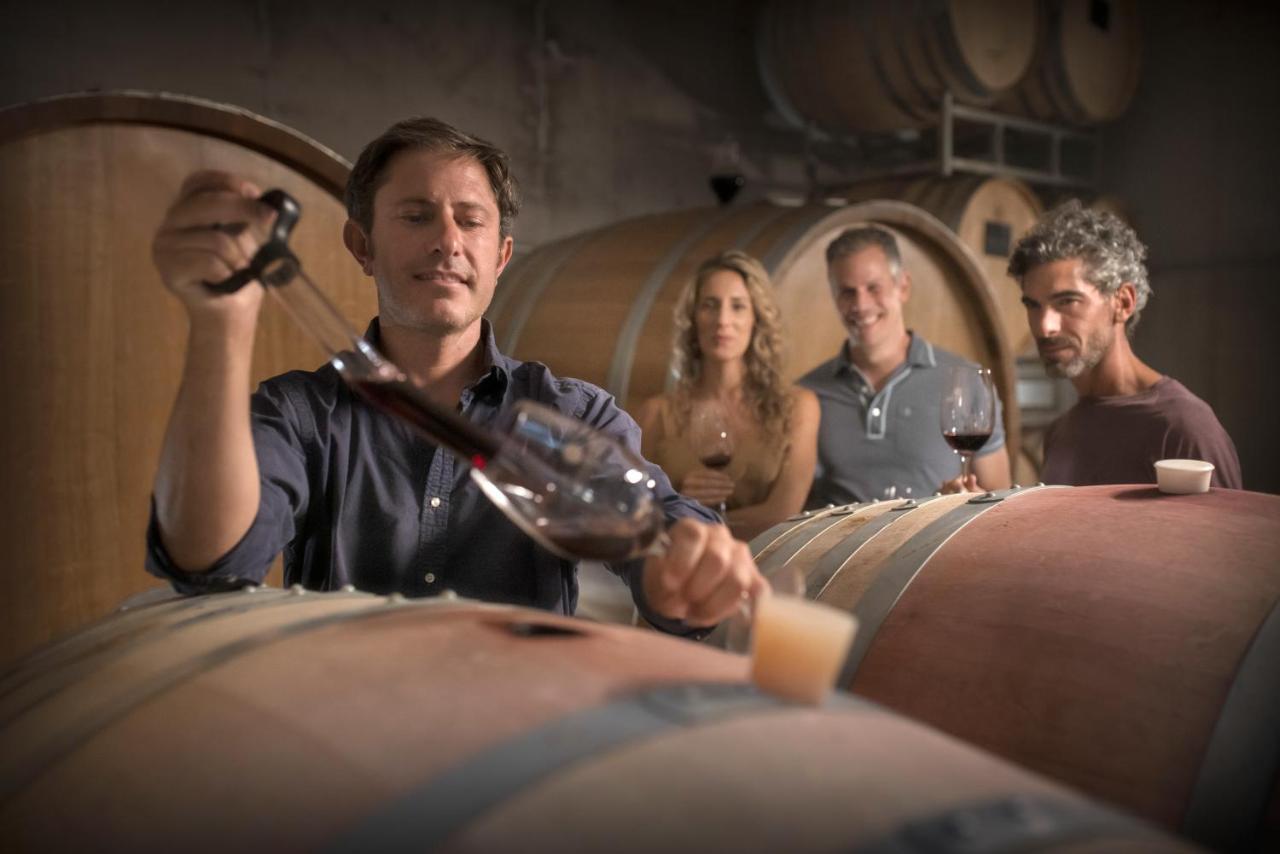 Casa De Uco Vineyards And Wine Resort Los Arboles Екстер'єр фото