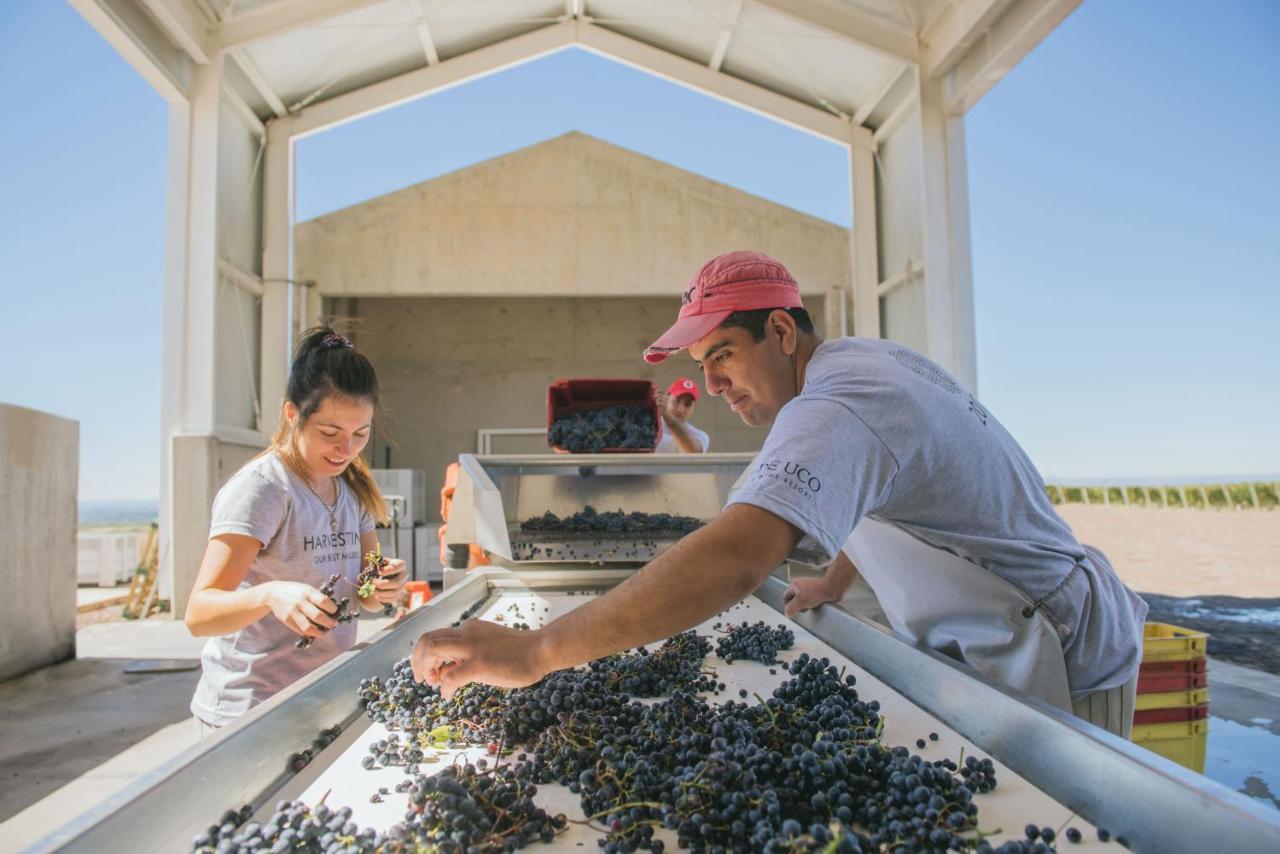 Casa De Uco Vineyards And Wine Resort Los Arboles Екстер'єр фото