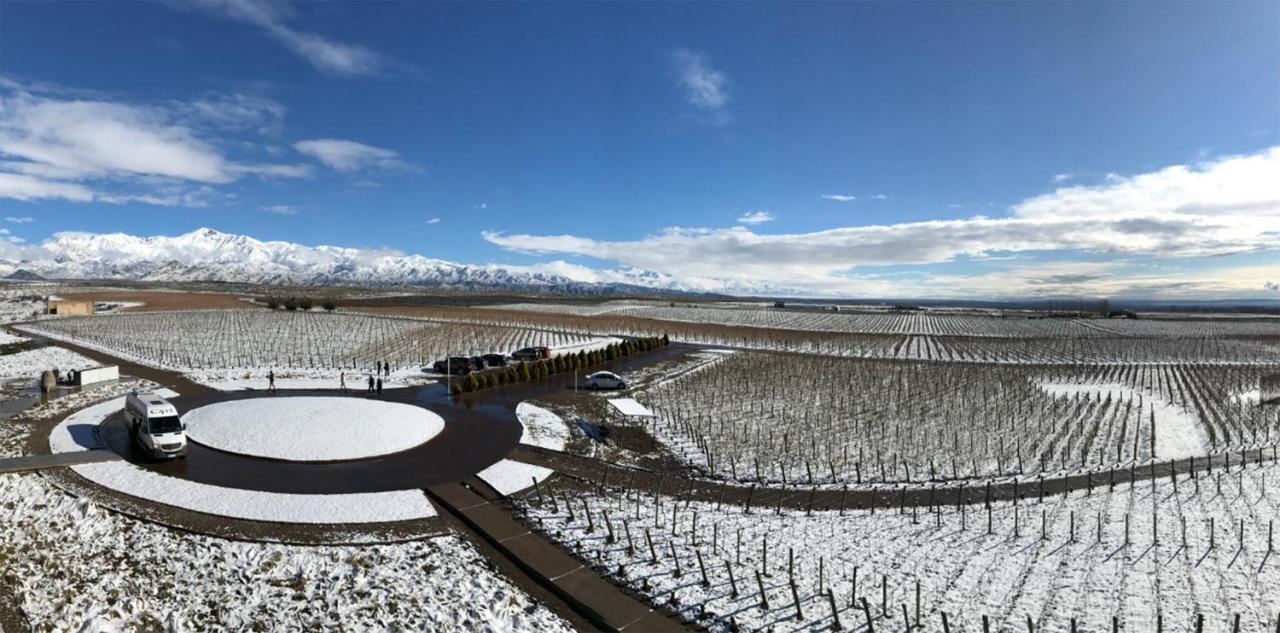 Casa De Uco Vineyards And Wine Resort Los Arboles Екстер'єр фото