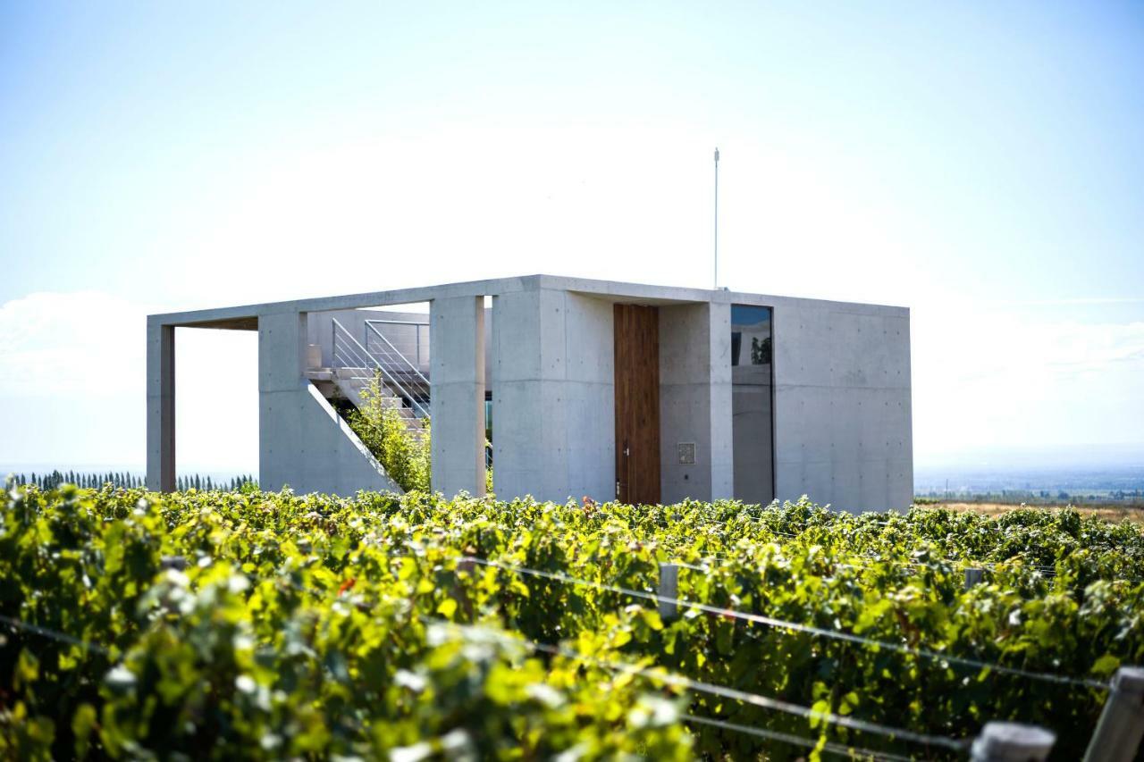 Casa De Uco Vineyards And Wine Resort Los Arboles Екстер'єр фото
