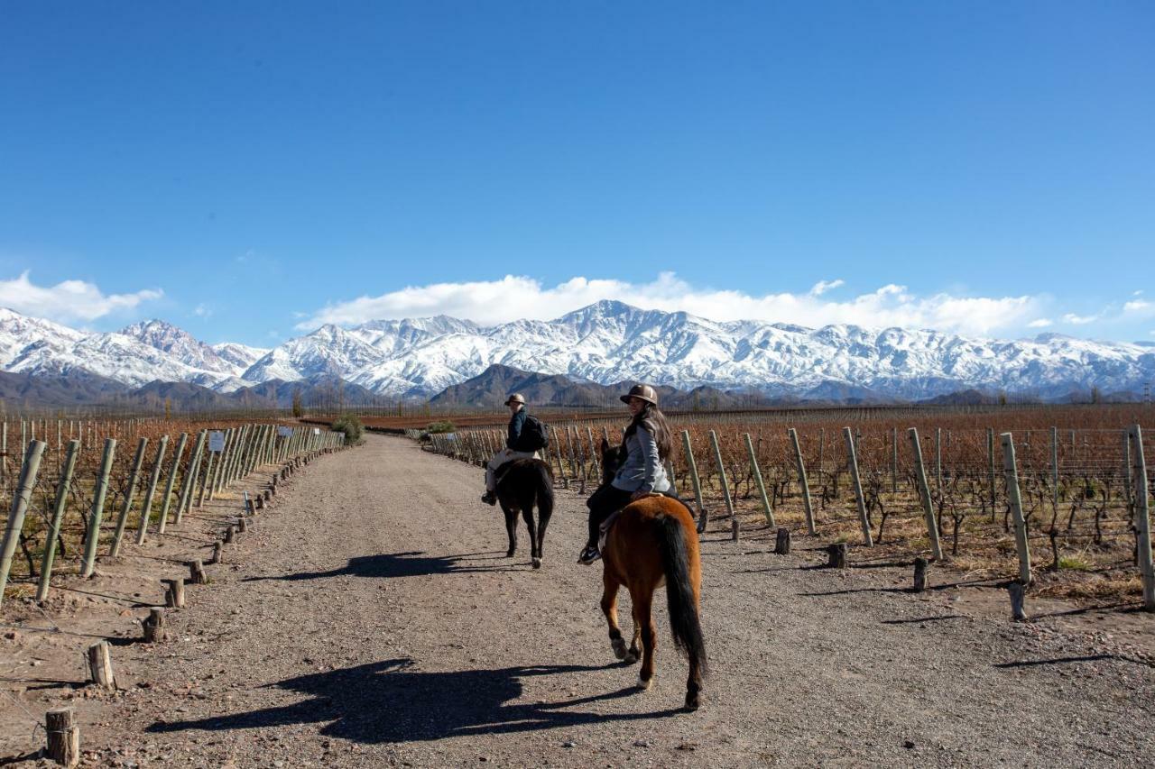 Casa De Uco Vineyards And Wine Resort Los Arboles Екстер'єр фото